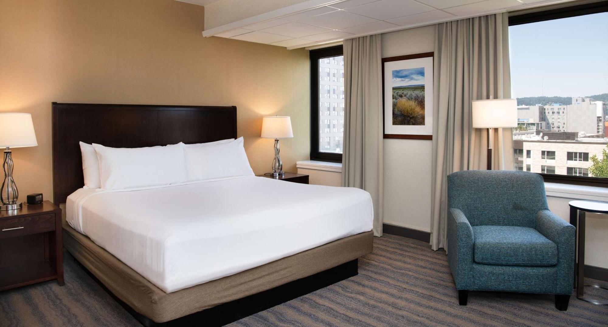 King Room Bath Tub Mobility Access