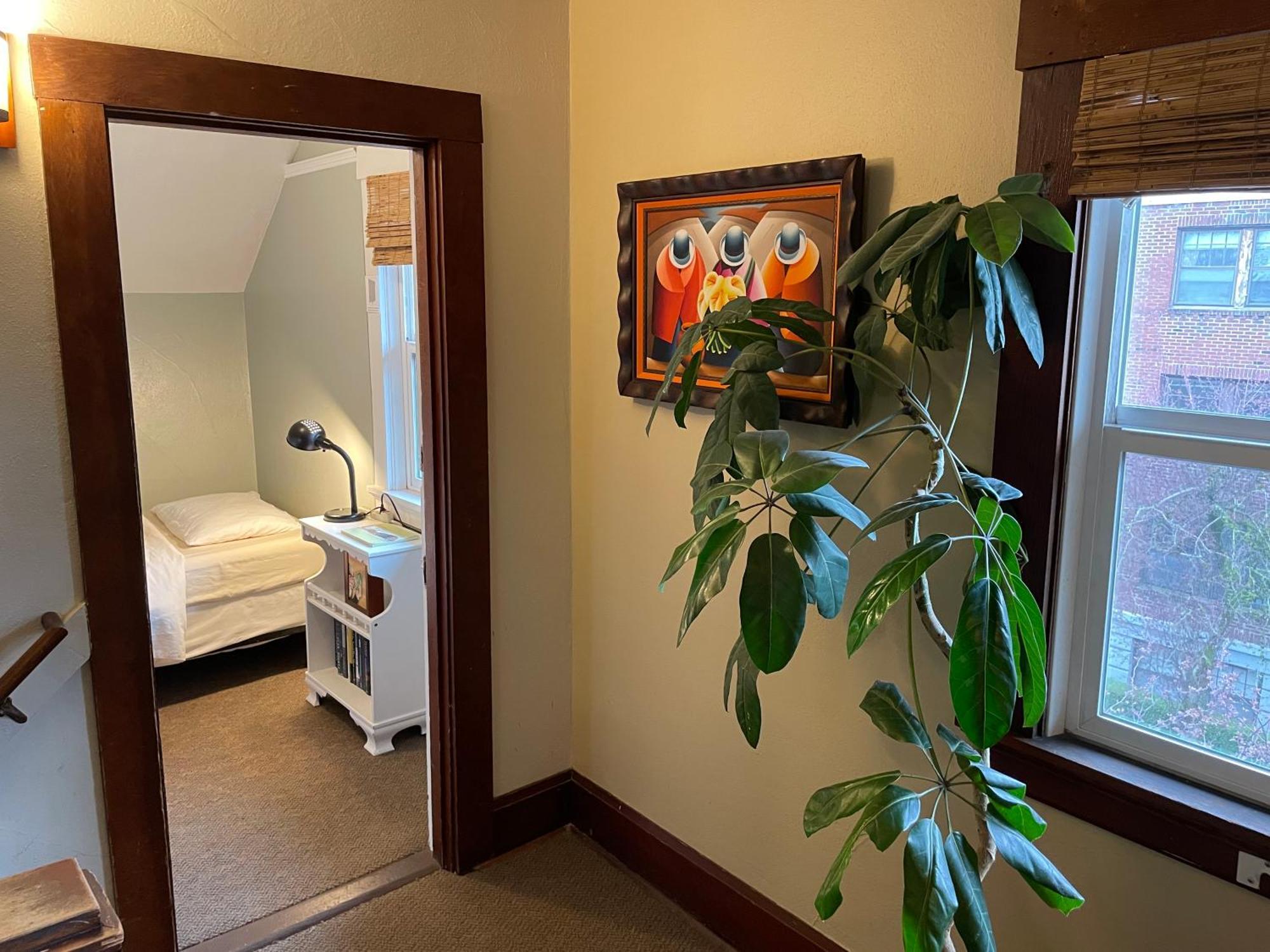 Budget Single Room