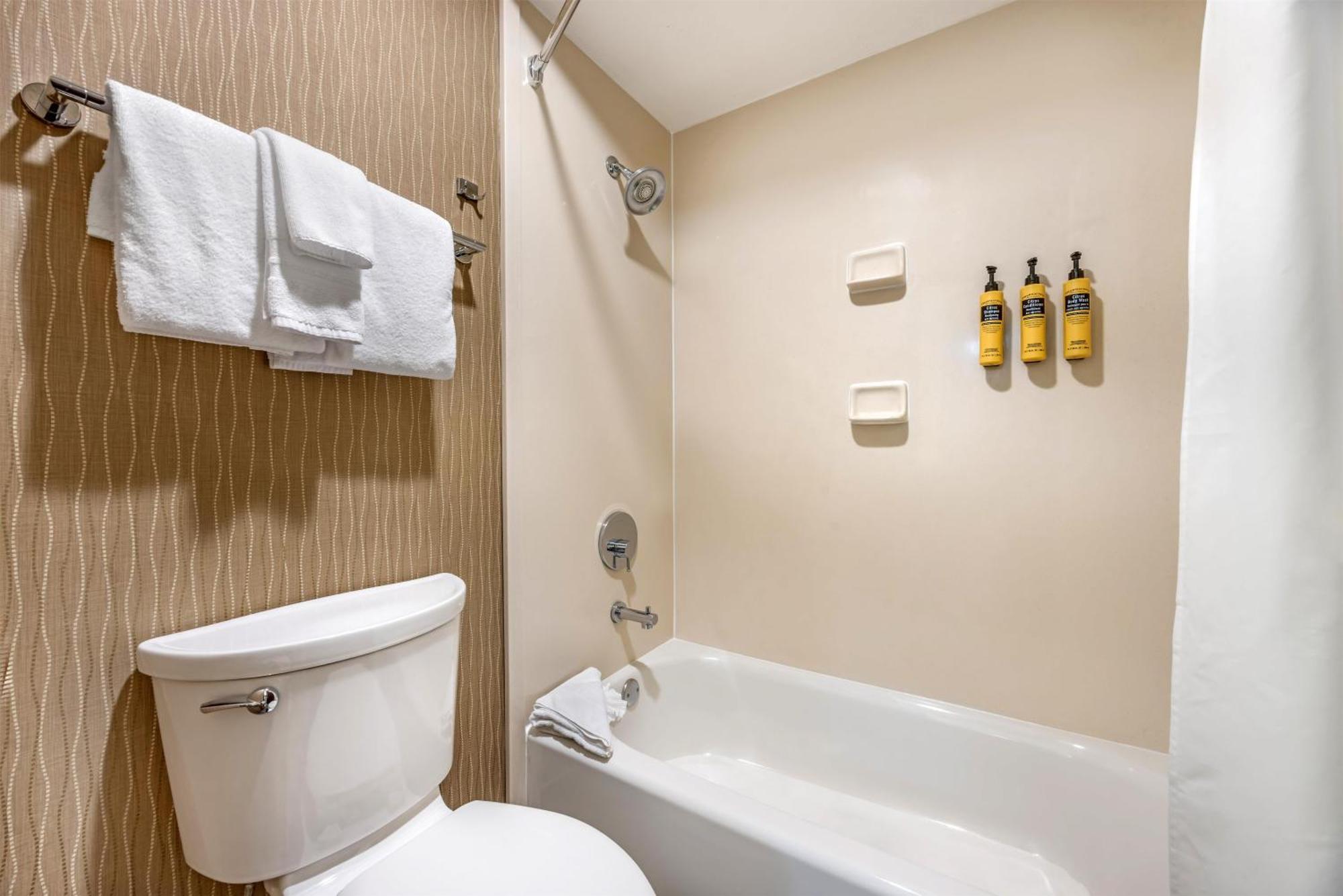 King Suite Wet Bar