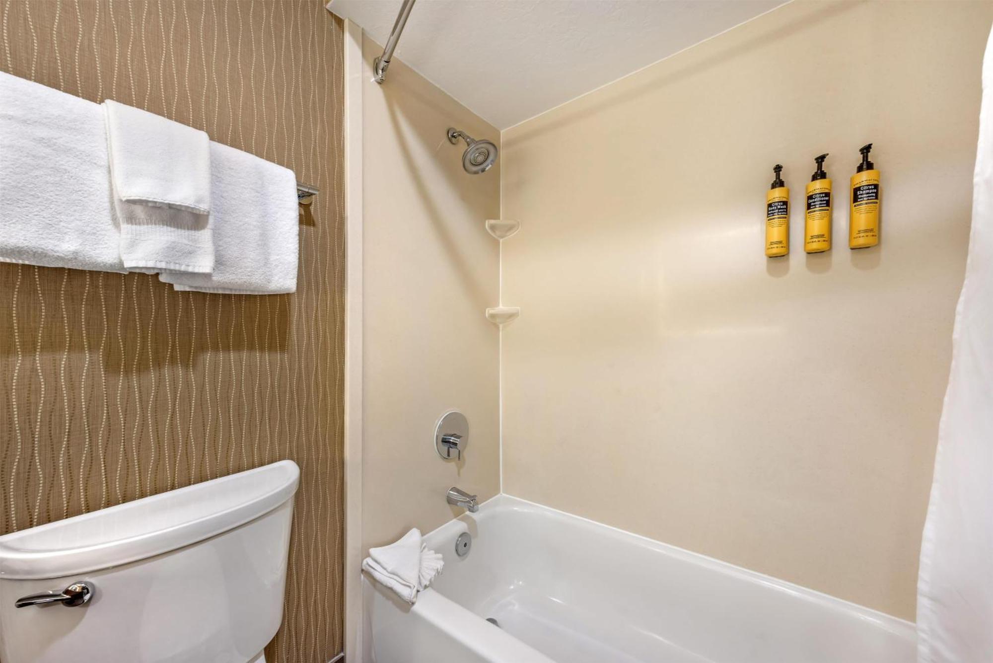 One-Bedroom King Suite