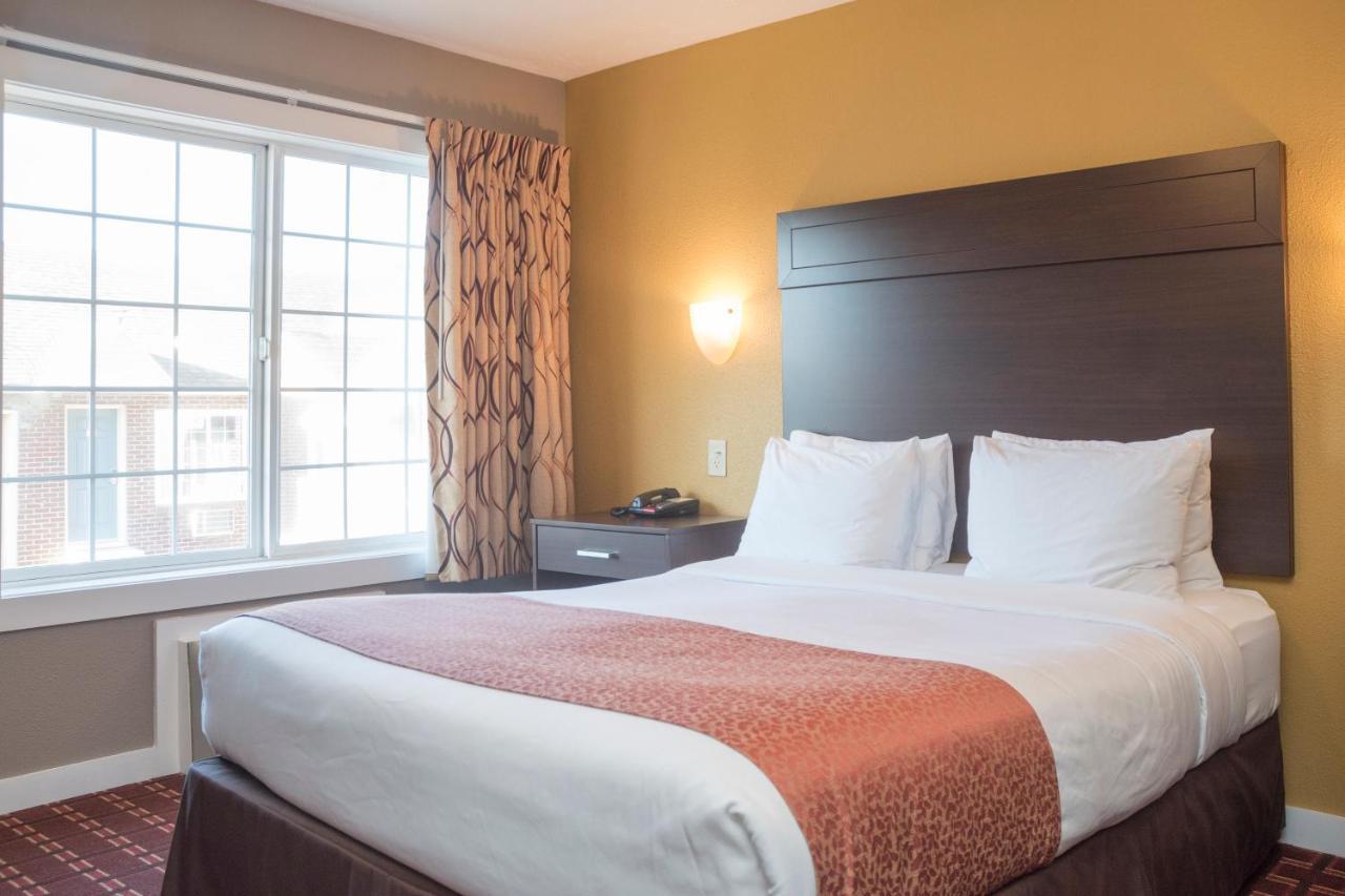 1 Queen Suite
