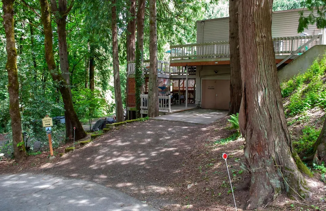 'The Owl'S Nest' W/ Hot Tub & Forest Views!-1